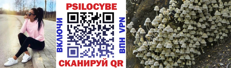 Псилоцибиновые грибы Cubensis  где найти наркотики  Гаджиево 